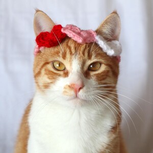 Heart Headband for Cats, Valentine's Day Cat Accessories, Cat Photo Prop for Valentines Day, Cute Cat Accessories, Cat Valentines Apparel immagine 6