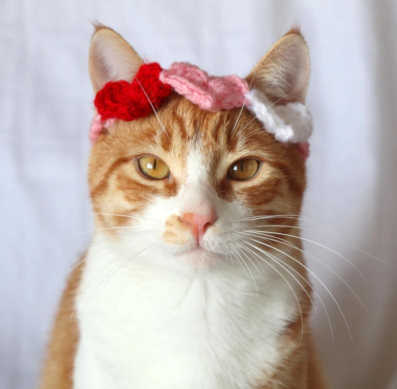 Heart Headband for Cats, Valentine's Day Cat Accessories, Cat Photo Prop for Valentines Day, Cute Cat Accessories, Cat Valentines Apparel immagine 6