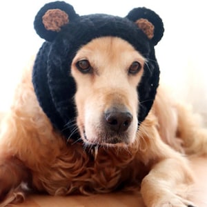 Modèle au crochet : snood pour chien ours, instructions PDF pour snood pour chien au crochet avec oreilles d'ours, accessoire/costume au crochet pour grands chiens image 6