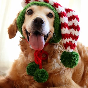 Crochet Pattern: Elf Hat for Dogs, Dog Elf Hat Pattern, Christmas