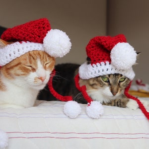Santa Hat for Cats, Cat Santa Hat, Holiday Cat Hat, Christmas Hat for Cats and Kittens, Christmas Cat Hat, Santa Cat Hat image 9
