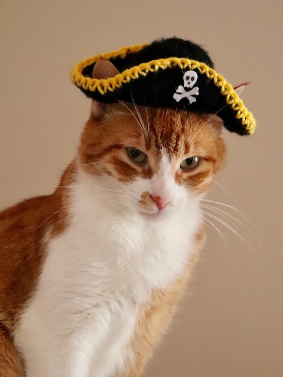 Pirate Hat for Cats, Funny Halloween Cat Costume / Cat Hat / Cat