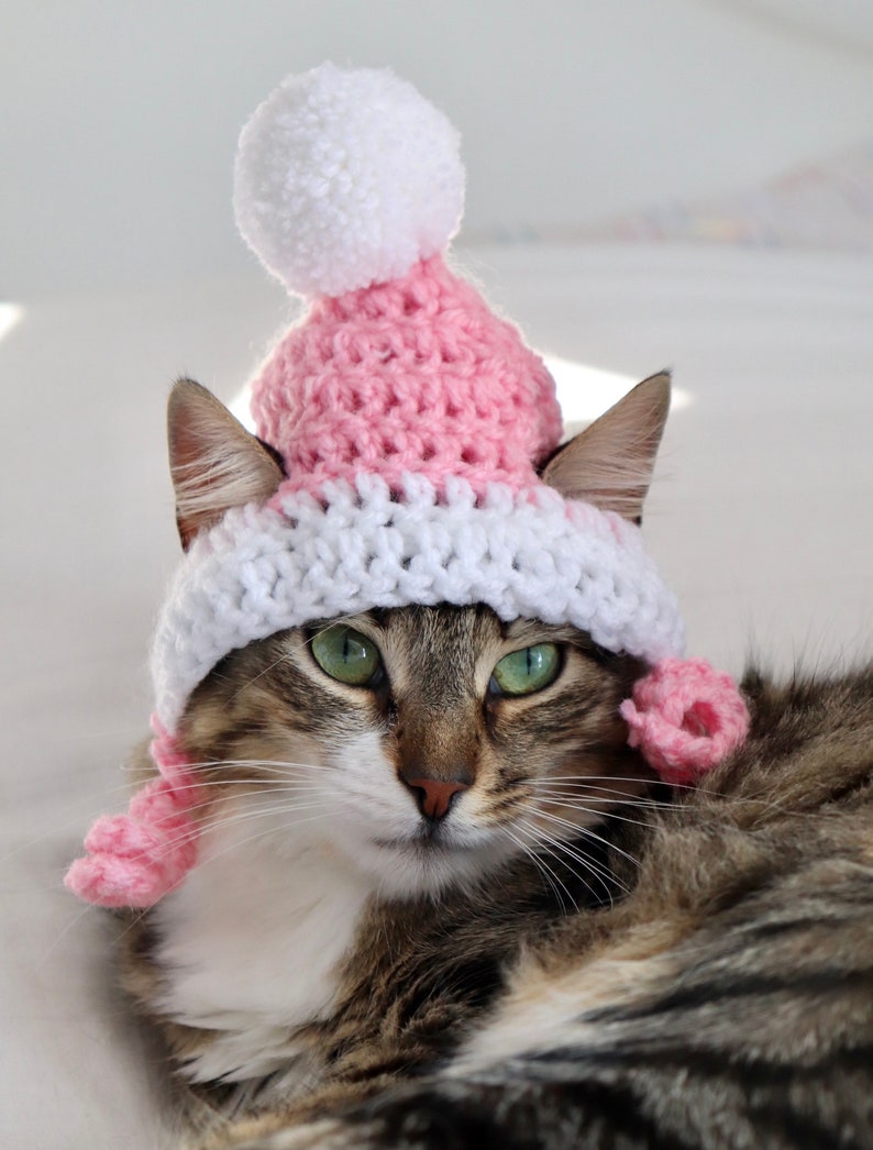 Hut für Katzen, 2 Farbe häkeln Pom Pom Hut für Katzen und Hunde kleiner Rassen, Feline Accessoires für den Winter, süße Katze Foto Requisite Bild 2