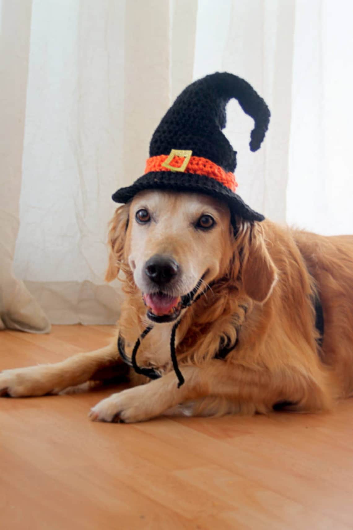 Witch Hat for Dogs Dog Witch Hat Halloween Hat for Dogs Etsy