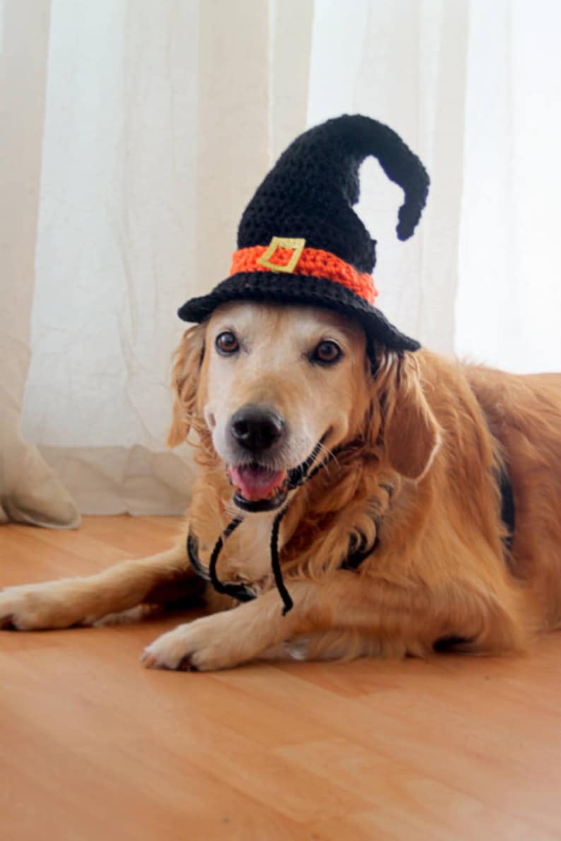 Witch Hat for Dogs, Dog Witch Hat, Halloween Hat for Dogs, Large Breed Dog Costume, Halloween Dog Hat, Witch Dog Hat image 4
