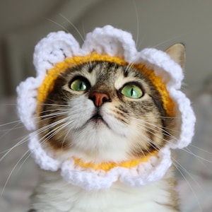 CROCHET PATTERN: Cat Flower Headband / Collar. Instant Download PDF Crochet Instructions for Flower Costume for Pets with Video Support image 8