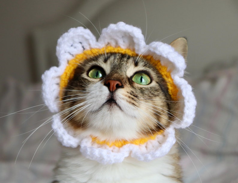 CROCHET PATTERN: Cat Flower Headband / Collar. Instant Download PDF Crochet Instructions for Flower Costume for Pets with Video Support image 8