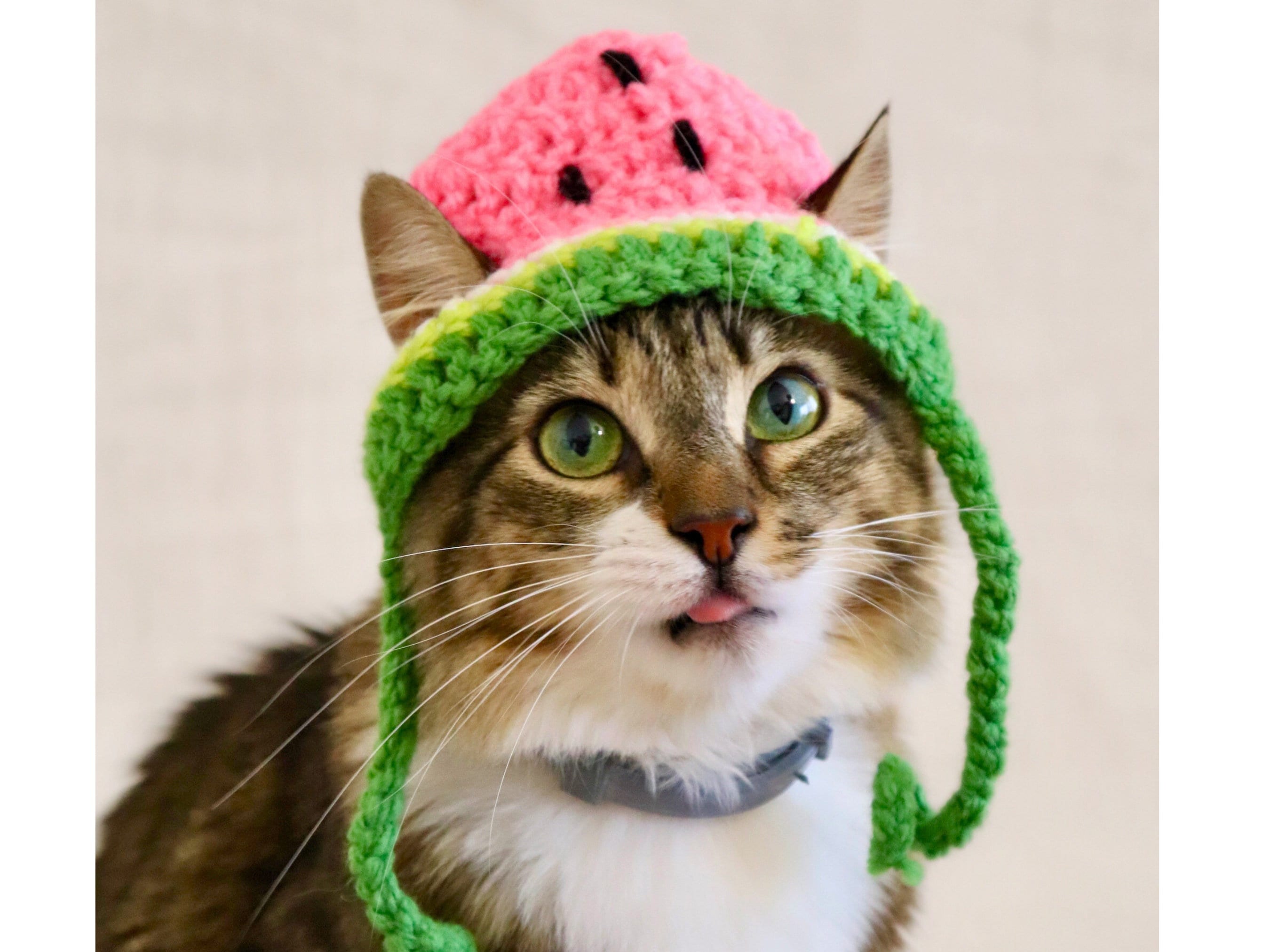 Watermelon Cat Hat