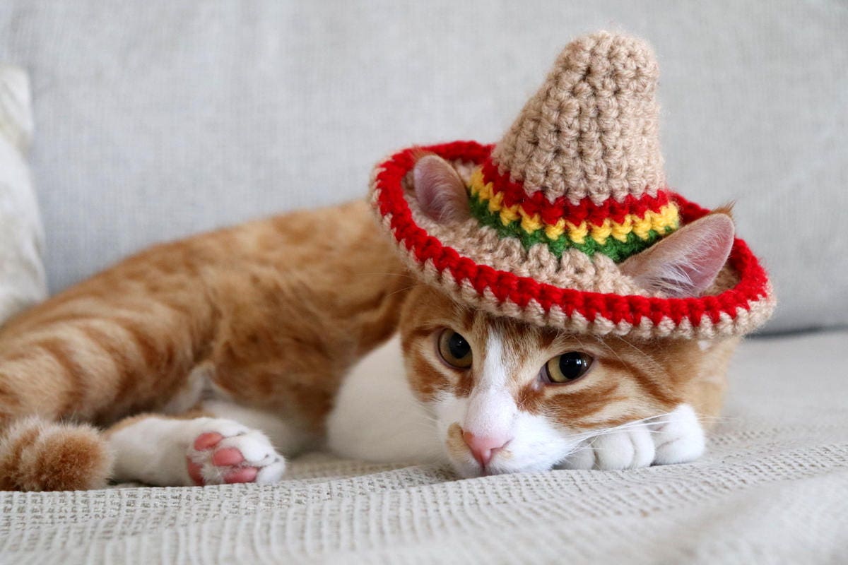 for Cats, Sombrero Hat with Ear Holes for Cats and XS Dogs, Cinco de Mayo C...