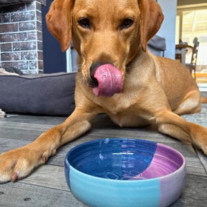 Tigela de cerâmica para cães com paisagem: feita à mão na Escócia.