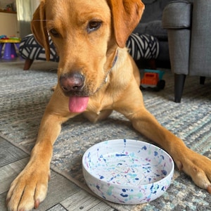 Pode incluir: Um Labrador Retriever dourado com a língua de fora, deitado sobre um tapete estampado ao lado de uma tigela branca decorada com respingos de tinta azul, rosa e verde. O cão está usando uma coleira azul.