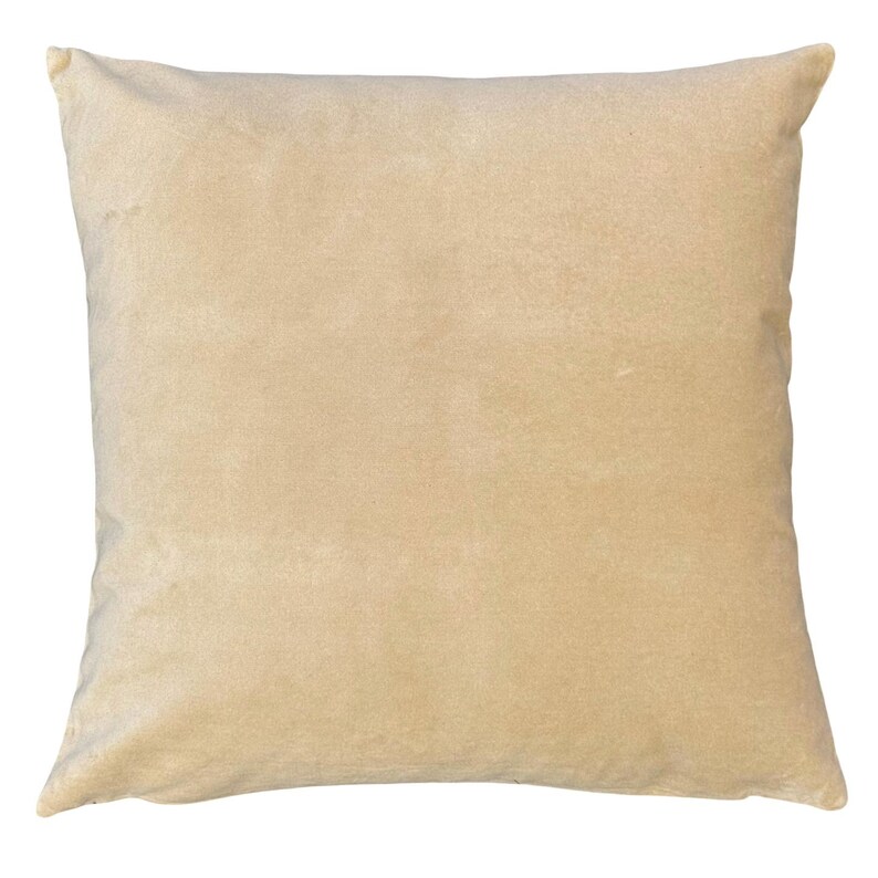 May include: A square throw pillow in a solid, light beige color. The fabric has a soft, slightly textured appearance with a subtle sheen, suggesting a velvet or suede-like finish. The pillow features clean, straight edges and a simple design.