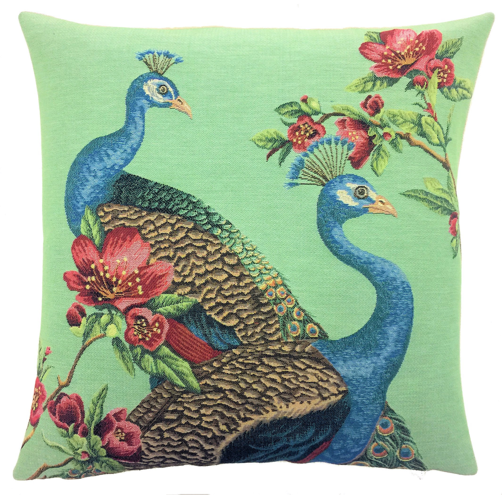 peacock pillow covers