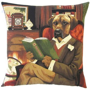 Puede incluir: Un perro marr&oacute;n y beige con traje y pajarita blanca se sienta en un sill&oacute;n rojo y lee un libro titulado "Historia".