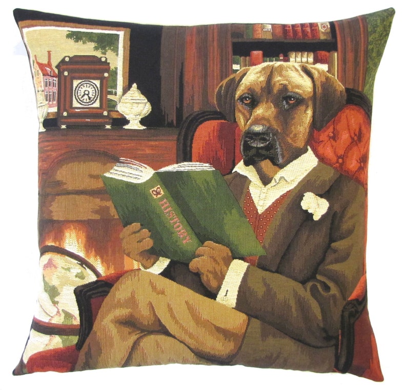 Puede incluir: Un perro marr&oacute;n y beige con traje y pajarita blanca se sienta en un sill&oacute;n rojo y lee un libro titulado "Historia".