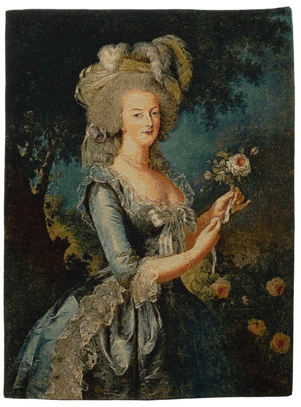 Marie Antoinette Tapestry Wall Hanging - Portrait Wall Decor - Madame  Lebrun Art - Museum Gift - Fine Arts Lover Gift