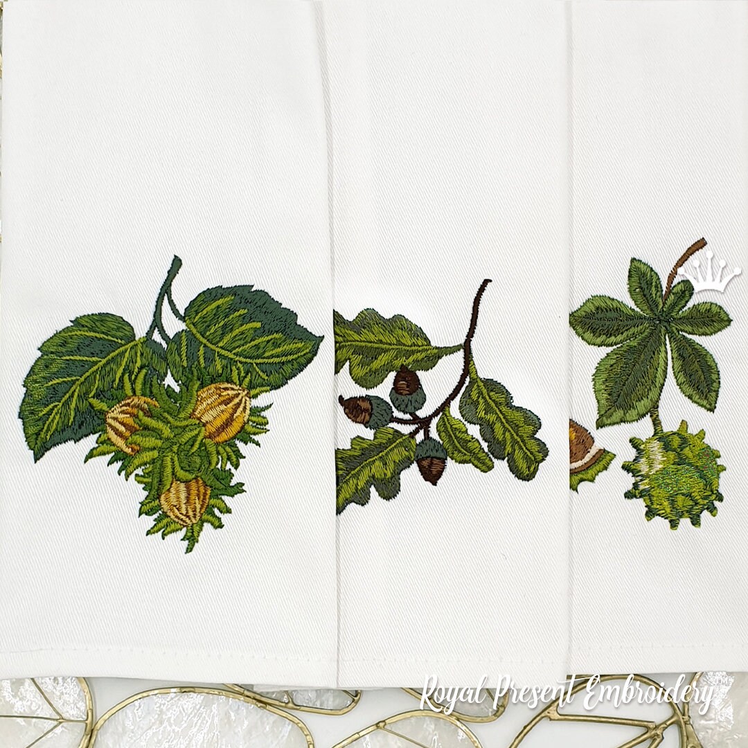 Filbert Chestnut Acorn Machine Embroidery Designs Etsy