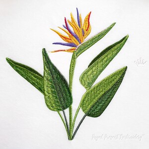 May include: Embroidered design of a bird of paradise flower with green leaves. The flower has orange, yellow, blue, and red petals.