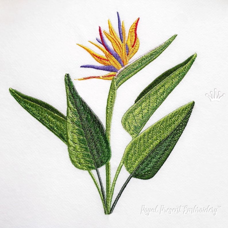 May include: Embroidered design of a bird of paradise flower with green leaves. The flower has orange, yellow, blue, and red petals.
