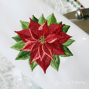 Può includere: Stella di Natale rossa ricamata con foglie verdi. La stella di Natale è un fiore tradizionale natalizio.