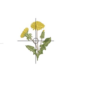Pode incluir: Um desenho de bordado digital de uma flor de dente-de-le&atilde;o amarela com folhas verdes. O desenho mede 7,16 cm por 9,27 cm e utiliza 6400 pontos. O desenho chama-se "RPE-3444-001" e faz parte da cole&ccedil;&atilde;o "Royal Present Embroidery".