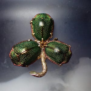 Antique Gilt Scarab Shamrock / Clover Shaped Brooch