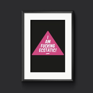 I am fucking ecstatic! Mental Health Art Print, Colourful Home Decor, Adult Wall Art, Rude Print, Mental Health Statement