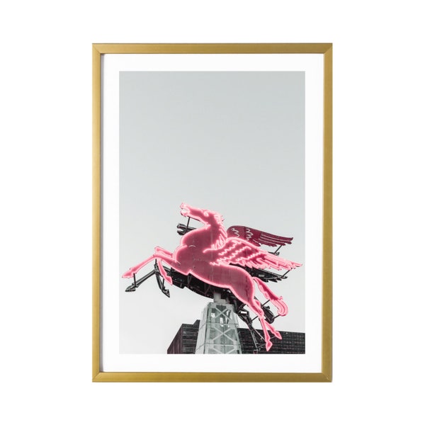 Dallas Wall Art Photography Pegasus Print Pink Room Decor