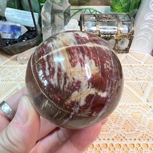 珪化木水晶球 - 研磨珪化木水晶球 - 水晶球 - 水晶装飾 - 水晶コレクション - PW6