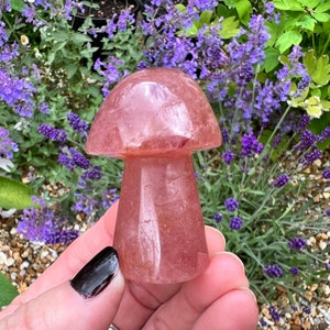 Strawberry Quartz Crystal Mushroom Carving - Strawberry Quartz Crystal Toadstool Carving - Polished Mushroom Carving - ST5