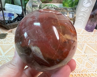 Petrified Wood Crystal Sphere - Polished Petrified Wood Crystal Ball - Crystal Sphere - Crystal Decor - Crystal Collection - PW9