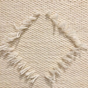 May include: A close-up of a white woven fabric with a frayed edge forming a circle shape.