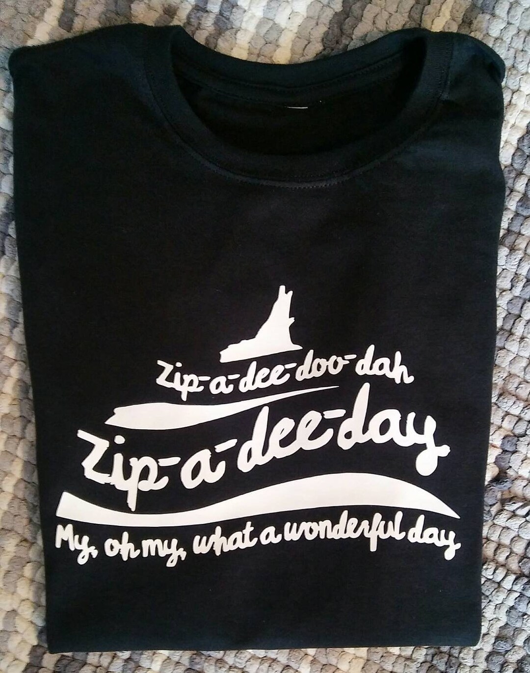 Splash Mountain Zip a Dee Doo Dah T-shirt - Etsy