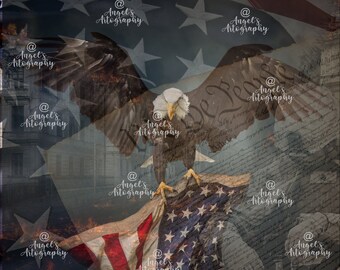 We the people digital png, patriot png, graphic art, American flag png,bald eagle png,DIY, 20 oz tumbler png, we the people tumbler png