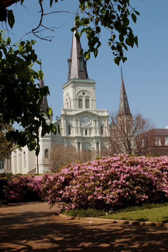 St Louis Cathedral Photo Print 8x10