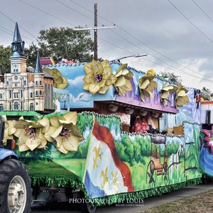 Flotador de Nueva Orleans en Mardi Gras, Flotador de la Catedral de St Louis, Decoración del hogar, Impresiones fotográficas, Arte NOLA, Arte local, Endymion, Carnaval, Barrio francés