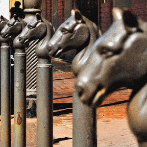 Horsehead Hitching post in a row, New Orleans, Custom Prints, Horse and buggie, vintage era, French Quarter, big easy,
