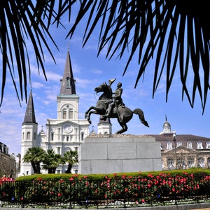 St. Louis Cathedral & Azaleas, en Jackson Square, Palms in the first, New Orleans, Downtown, Churches, Photography, French Quarter