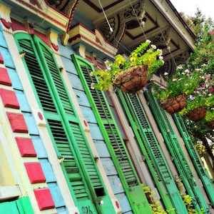 Puertas de persiana del barrio francés, arte del festival de jazz de Nueva Orleans, helechos colgantes, impresiones, arte funky, arte ecléctico, gran fácil, arquitectura, fotografía