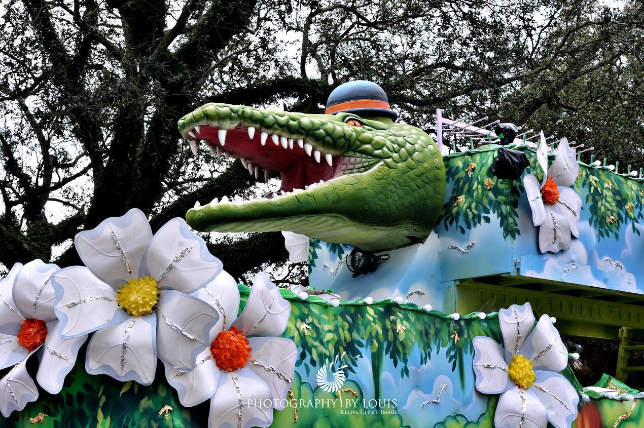 mardi gras gift shop new orleans photos