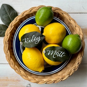 Custom Lemon Leaf place cards, place cards, citrus theme wedding, place setting, table scape, lettering on leaves, hand lettered, Garden