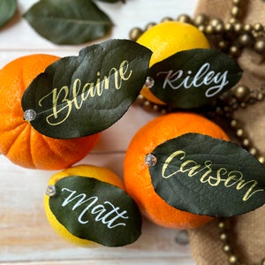 May include: Four place cards with names written in gold and white calligraphy on dark green leaves. The leaves are attached to oranges and lemons with rhinestones.