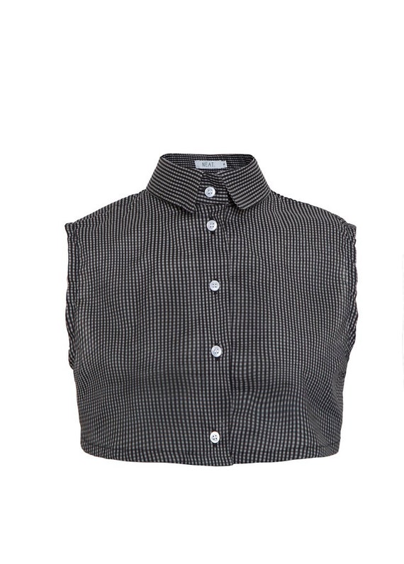 vest and collared shirt