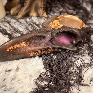 Faux Crow Skull, Crow Skull Decor, Raven Skull Decor, Gothic Decor, Curiosities, Oddities Decor, Resin Skull, Resin Decor, Witchy Resin