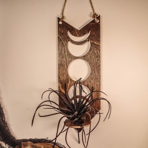 Hanging Air plant Holder, Witchy Air plant holder, Green Witch Decor, Moon Phase Air plant holder, Witchy Wall Decor, Air Plant Wall Hanging