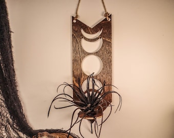 Hanging Air plant Holder, Witchy Air plant holder, Green Witch Decor, Moon Phase Air plant holder, Witchy Wall Decor, Air Plant Wall Hanging