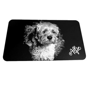 May include: Black and white photograph of a dog named Alfie on a black background.