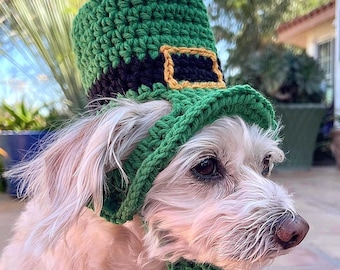 Lucky Leprechaun Pet Hat: St Patrick's Day Crochet Costume for dogs and cats