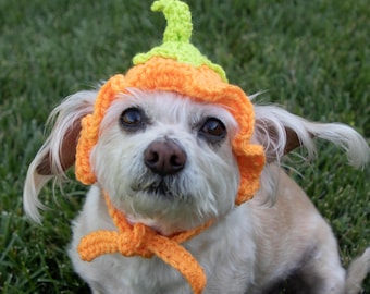 Pumpkin Pet Hat — Handcrafted Crochet for Small Dogs and Cats — Fall Halloween Costume