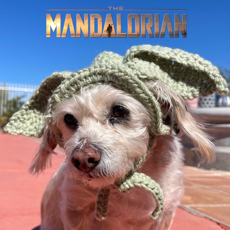 May include: A small, light-colored dog wearing a crocheted green hat with large, pointed ears. The hat is tied under the dog's chin. The text "THE MANDALORIAN" is above the dog's head in gold lettering.